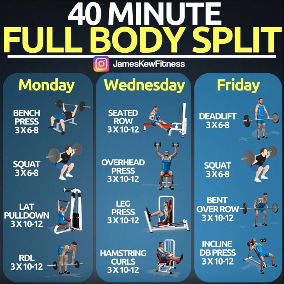 13 Best Smith Machine Workout Ideas Workout Smith Machine Workout Fitness Body