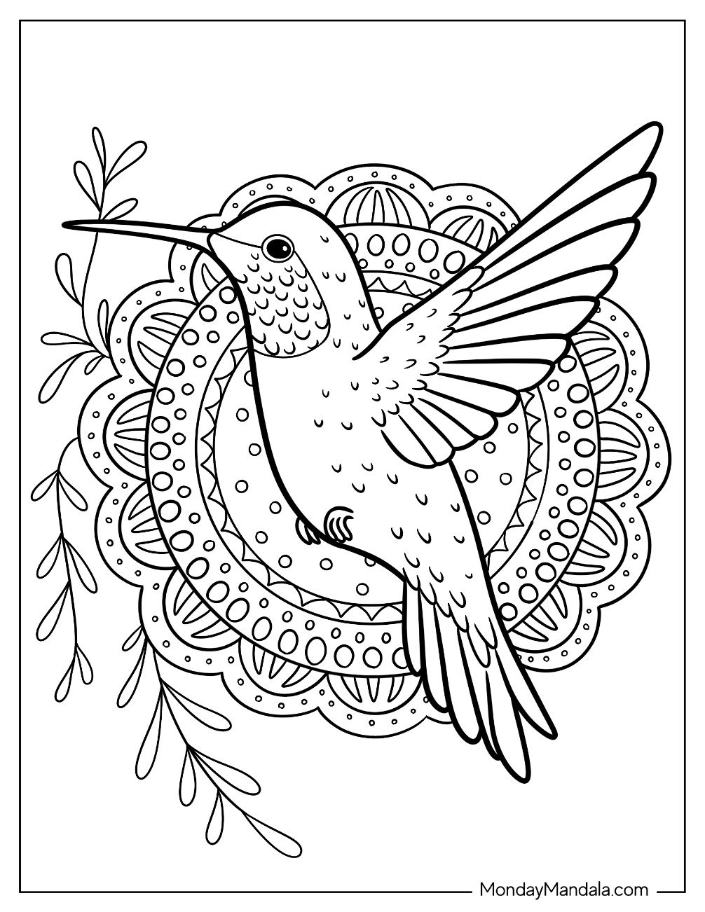 19 Hummingbird Coloring Pages Free PDF Printables 