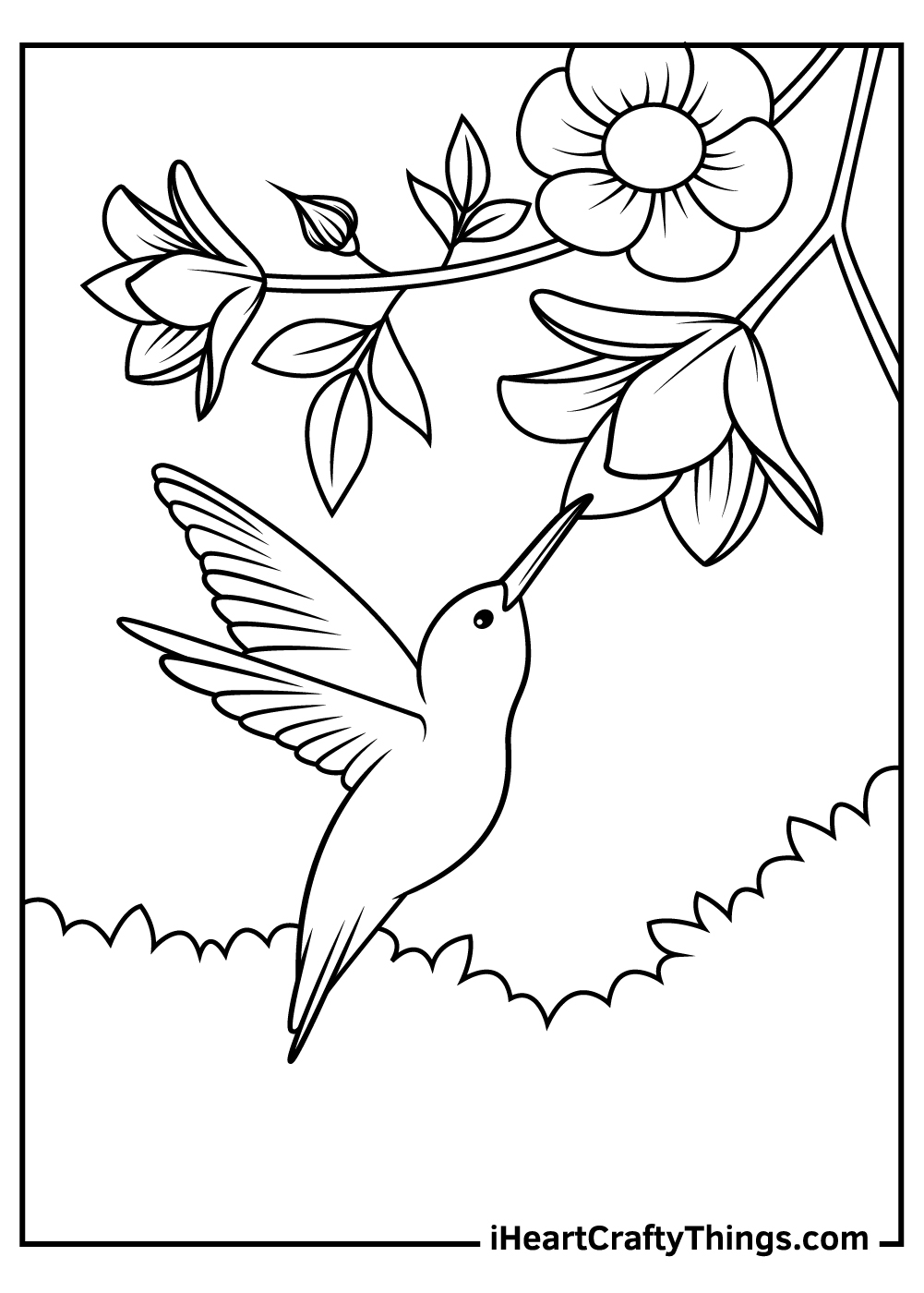 25 Hummingbird Coloring Pages 100 Free Printables