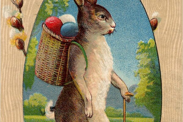 28 Easter Bunny Images Free Pictures The Graphics Fairy