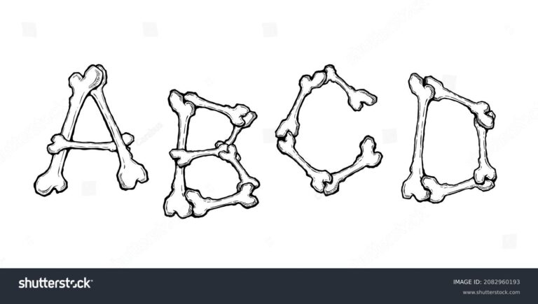 6 Thousand Alphabet Bones Royalty Free Images Stock Photos U0026 Pictures Shutterstock