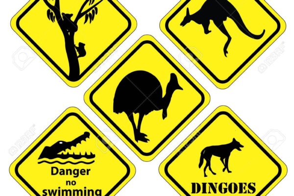 A Set Of Signs That Is Found In Different Parts Of Australia Royalty Free SVG Cliparts Vectors And Stock Illustration Image 29902593