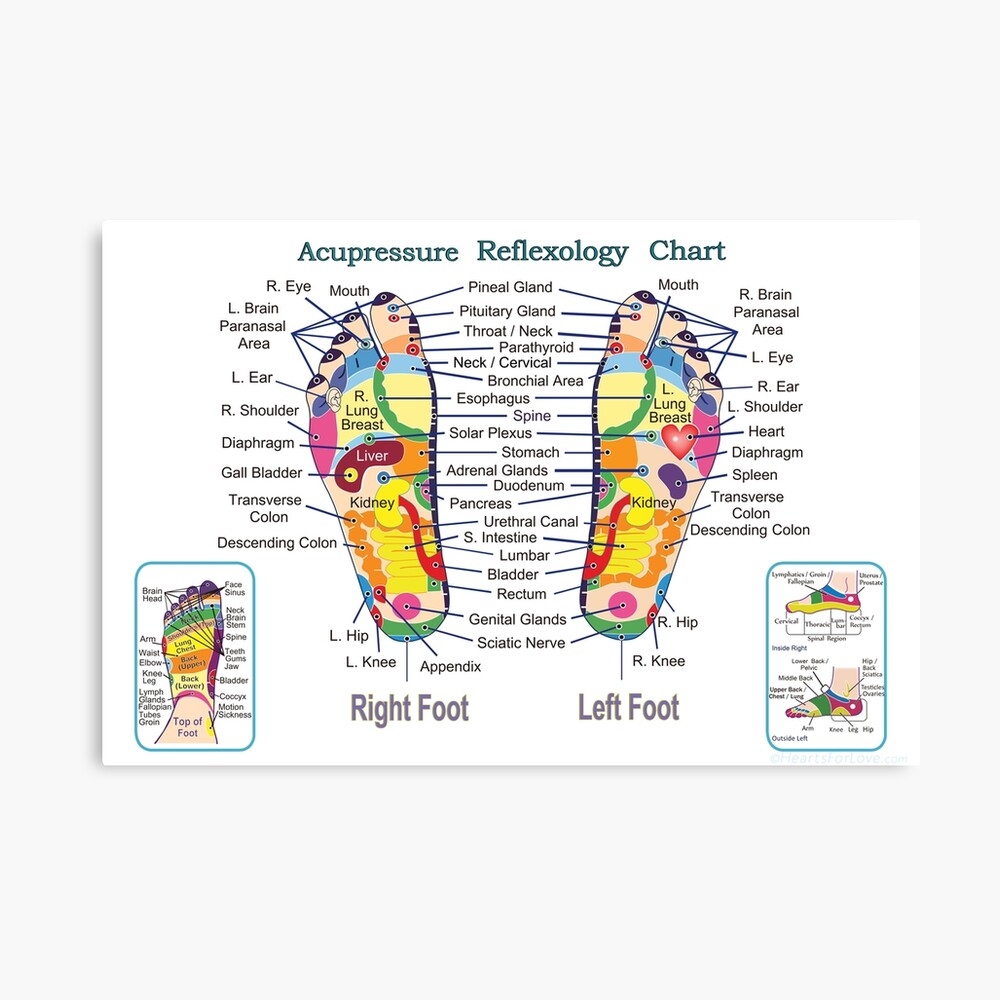 Acupressure Foot Reflexology Chart