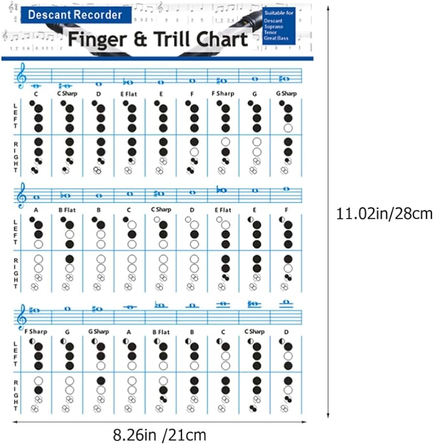 Amazon co jp SEWACC Flute Code Chart Trumpet Code Chart Finger Practice Chart Bus Recorder Code Finger Chart Exercise Finger Chart Flute Code Chart Base Practice Supplies Musical Instruments