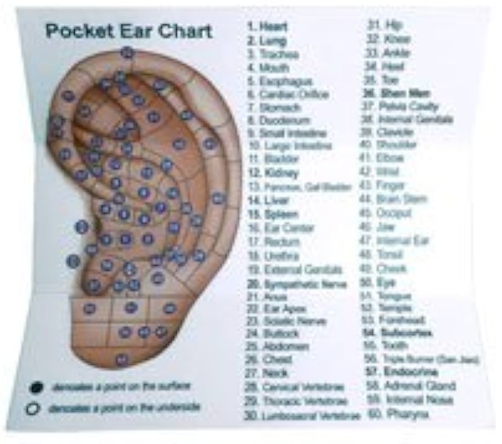 Amazon Dual Head Tip Acupuncture Ear And Body Point Probe Pocket Ear Chart And Pouch Health U0026 Household