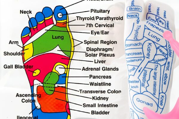 Amazon ZYNERY Reflexology Socks With Massage Tool Acupressure Gloves Pressure Point Chart Trigger Point Foot Pain Relief Women s Pink Health U0026 Household