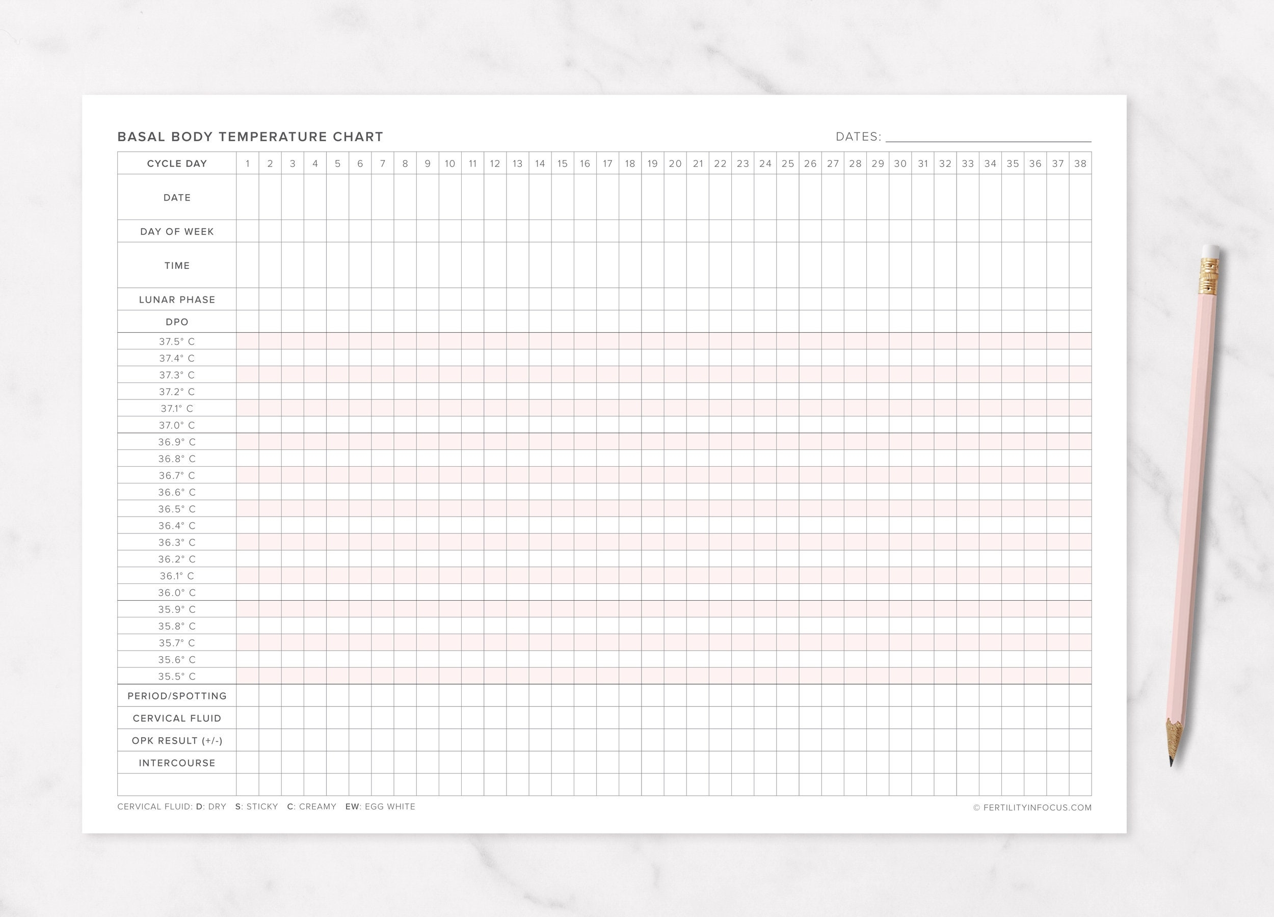 Basal Body Temperature BBT Chart Printable A4 Size celsius TTC Cervical Fluid Fertility Tracking Ovulation Tracker Etsy UK