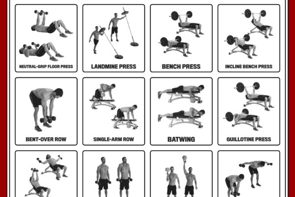 Bench Press Workout Chart
