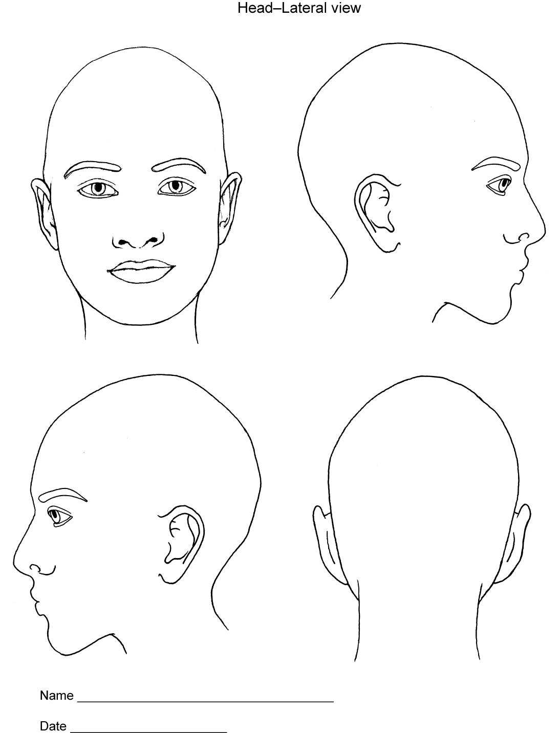 Printable Blank Body Chart