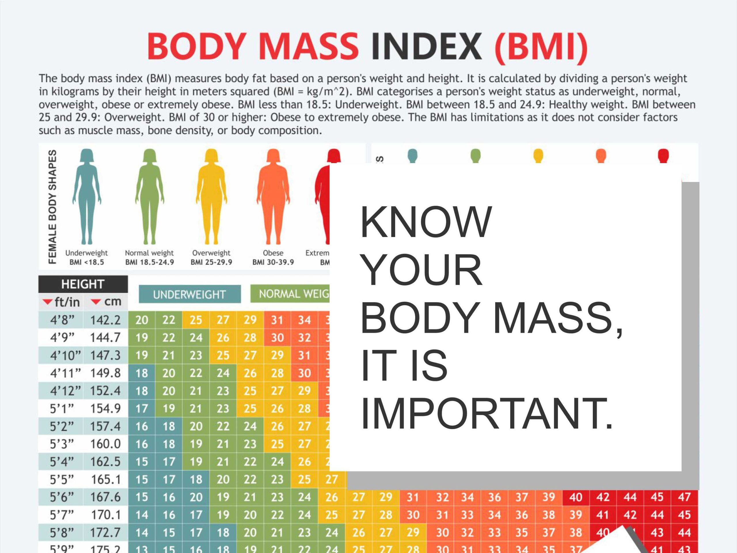 Body Mass Index Chart Digital Download PDF Height And Weight Body Fat Healthy Weight Waist Circumference Maintaining Weight Etsy