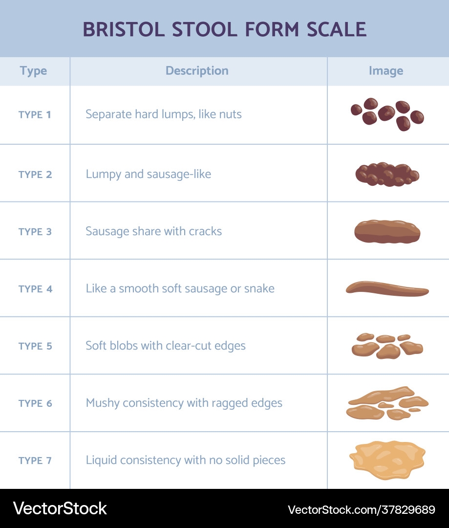 Bristol Scale Vector Images 21
