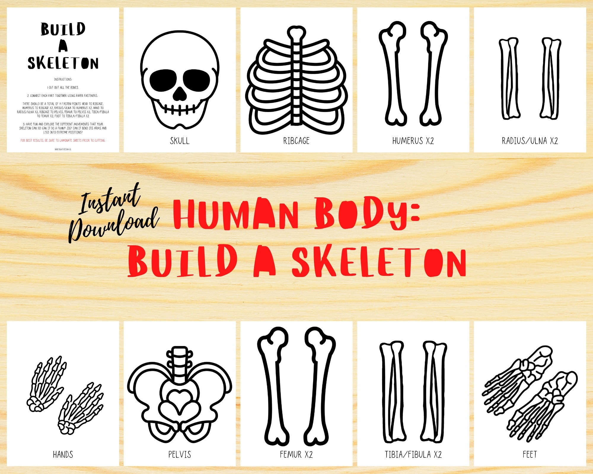 Free Printable Skeleton