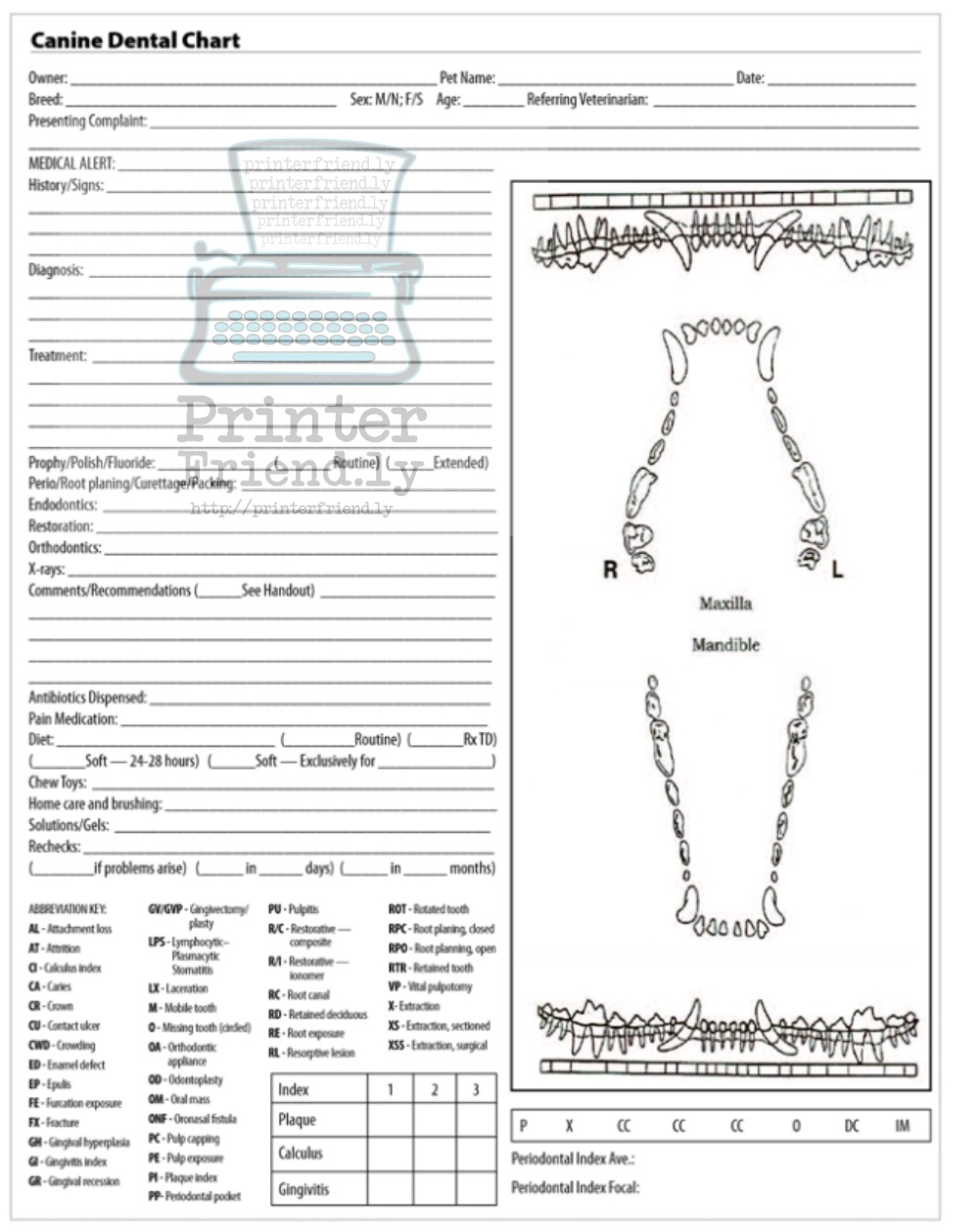 Canine Dental Chart Archives Printerfriendly