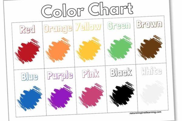 Color Charts Plus Activity Ideas Nature Inspired Learning