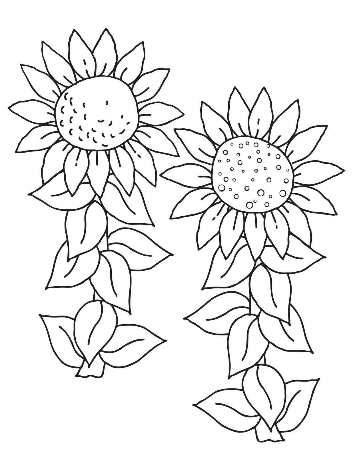 Coloring Pages Free Sunflower Coloring Pages