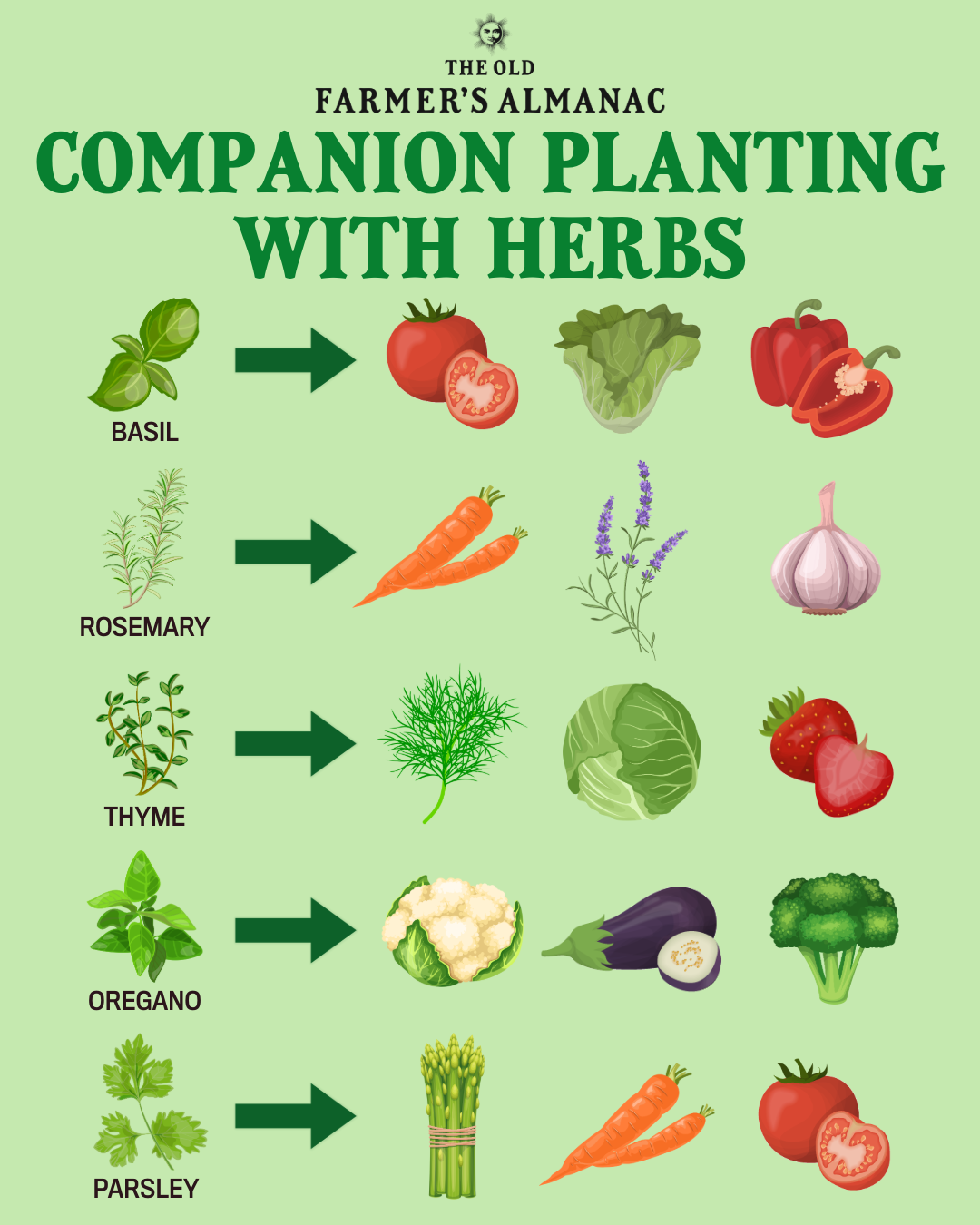 Printable Herb Companion Planting Chart