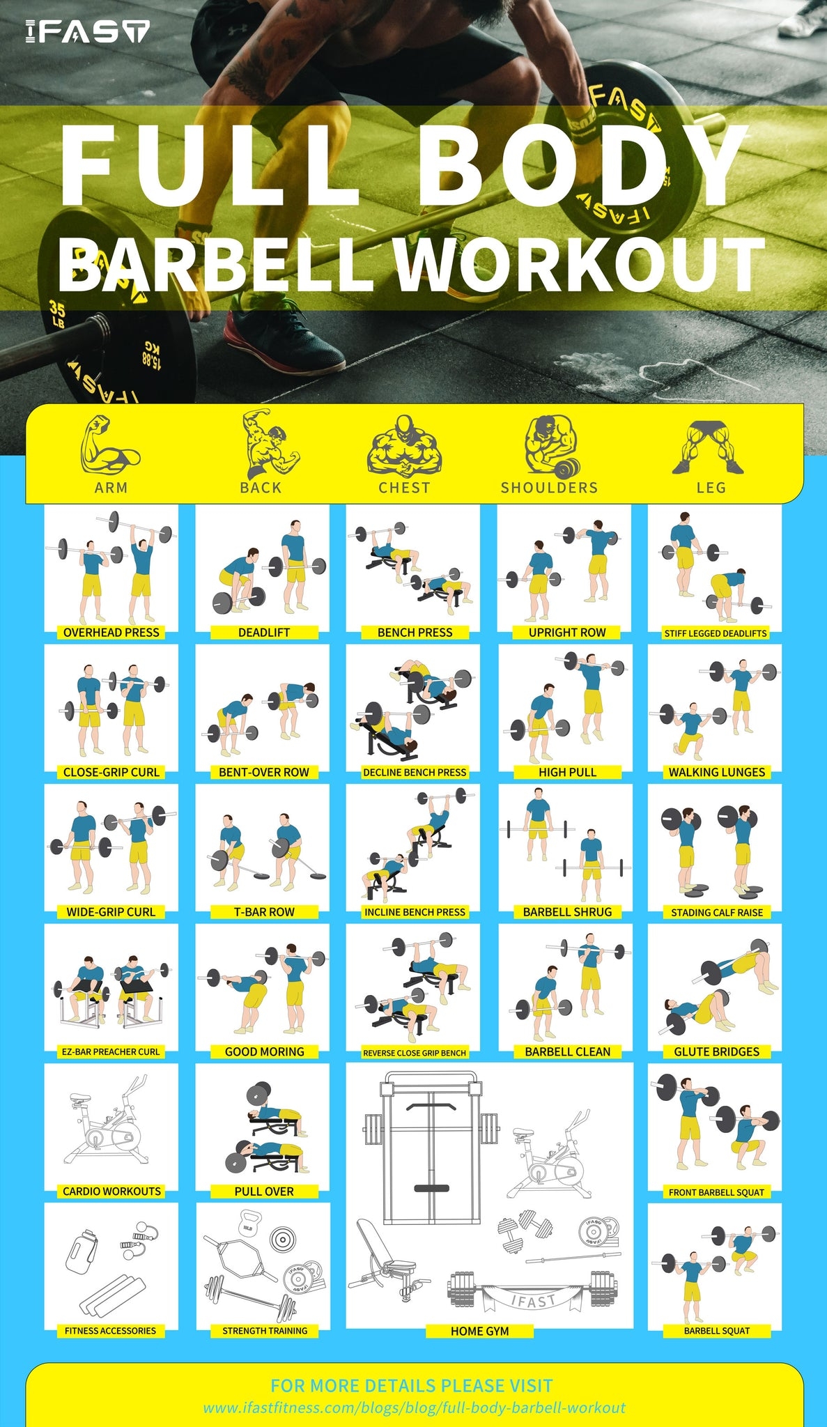 Curl Bar Full Body Workout