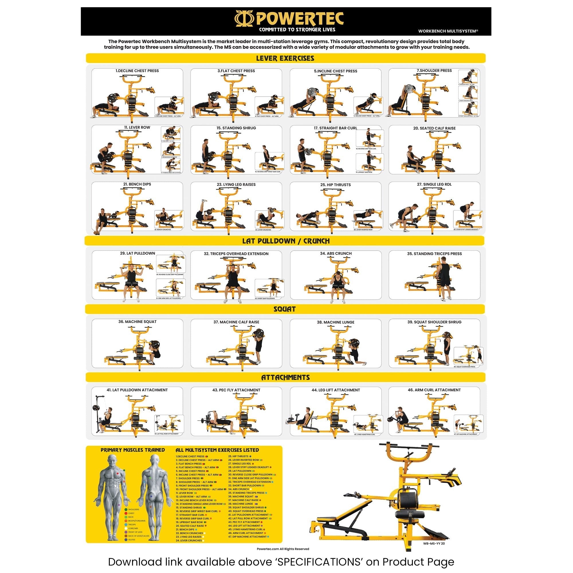 Printable Curl Bar Exercises Chart