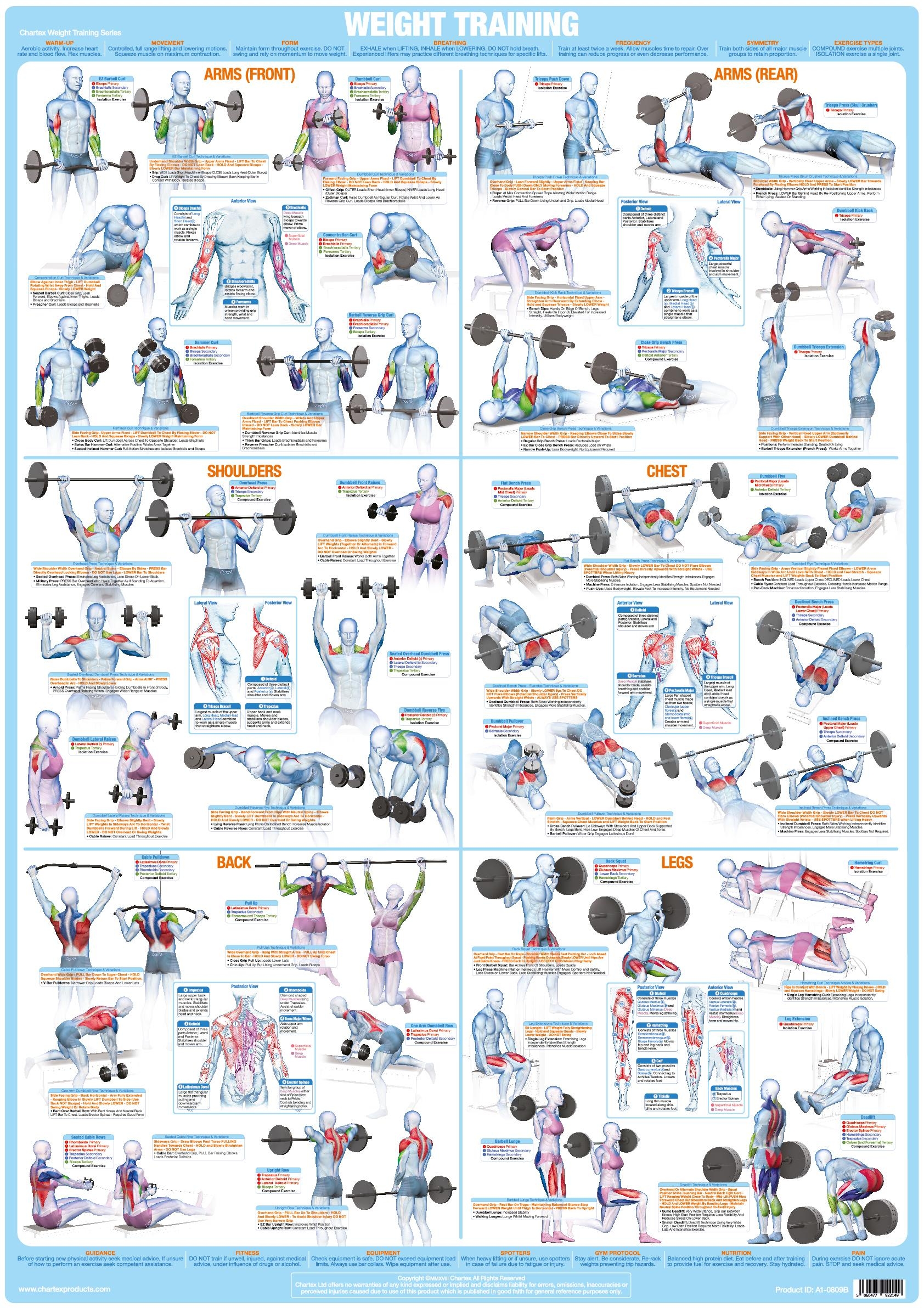 Curl Bar Workout Chart Sale