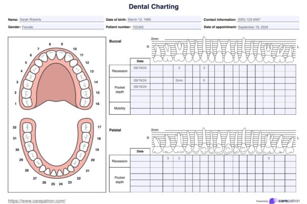 Dental Charting Template U0026 Example Free PDF Download