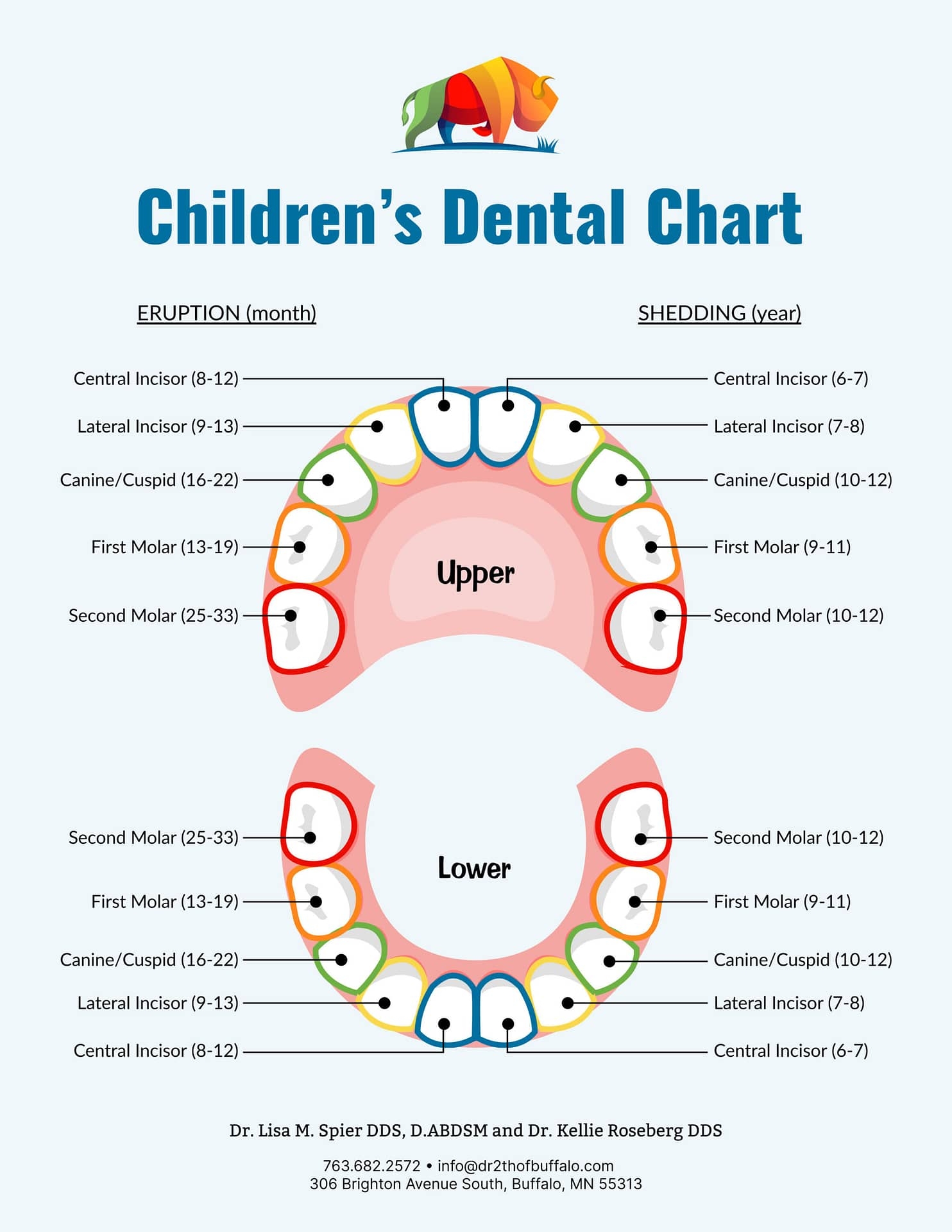 Printable Tooth Chart With Numbers