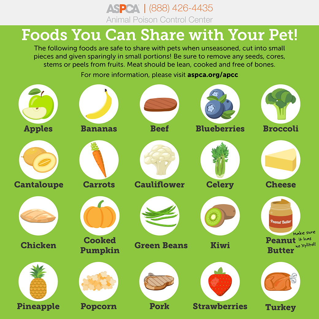 Dog Safe Food Chart 2025