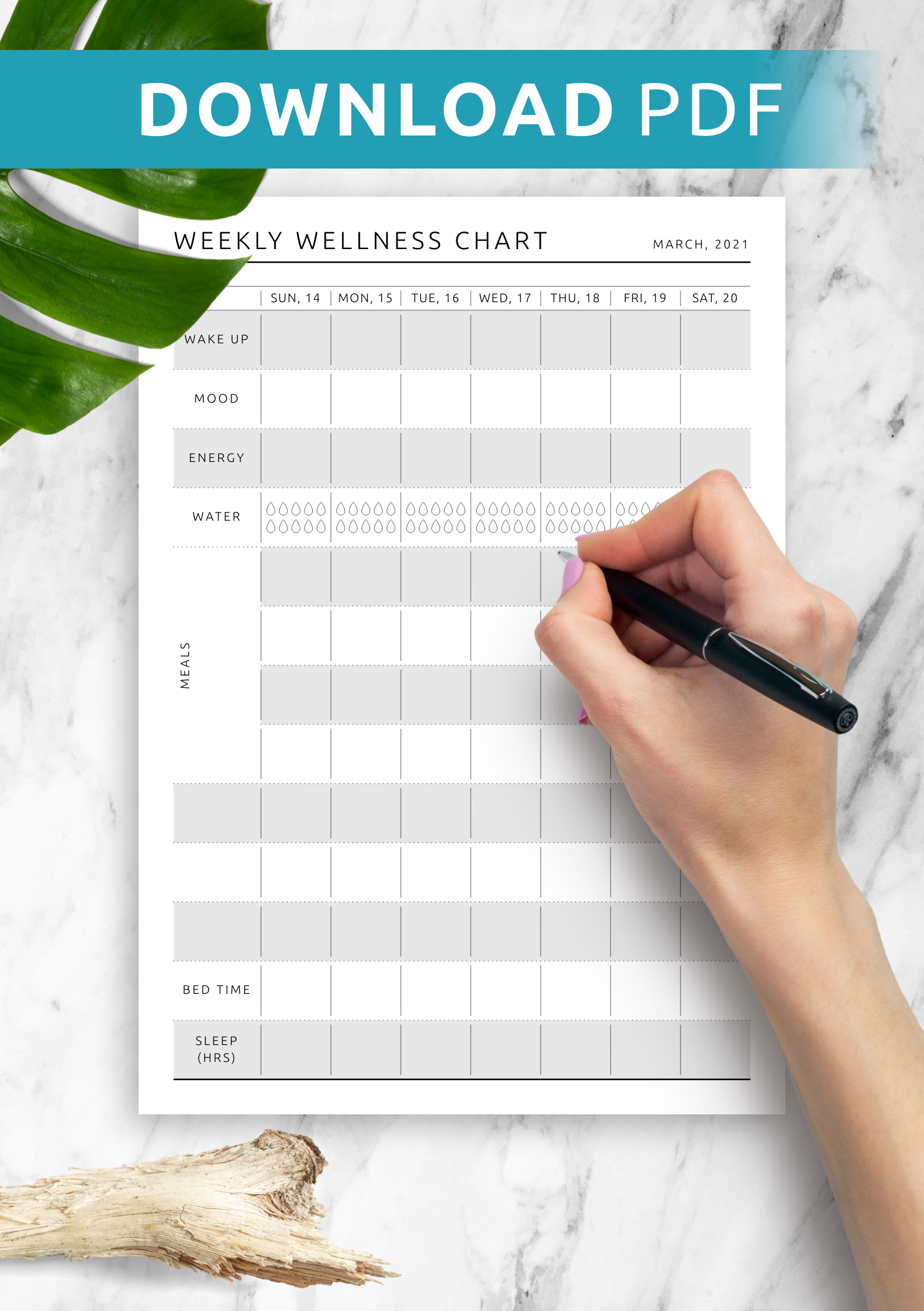 Download Printable Weekly Wellness Chart Template PDF