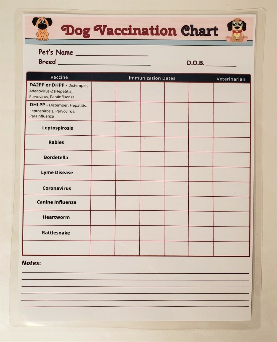 Dry Erase Dog Vaccination Chart Laminated Puppy Immunization Schedule