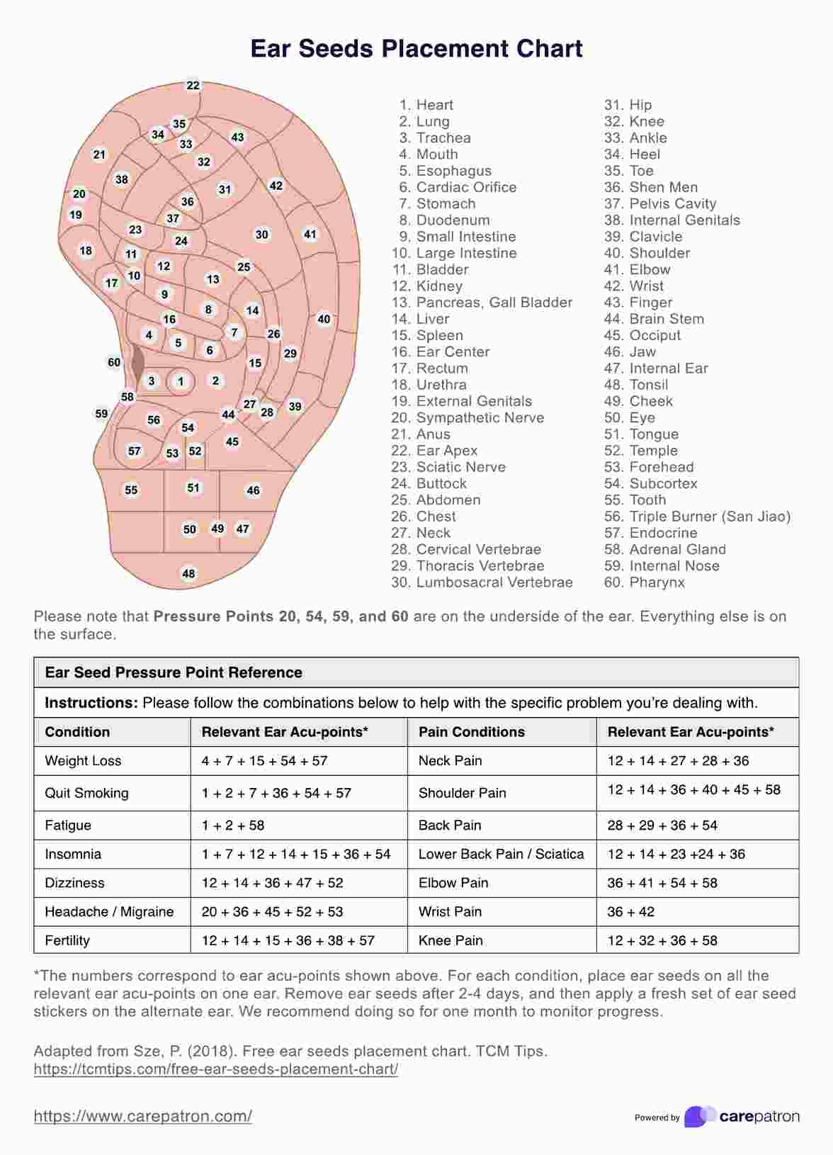 Ear Seeds Placement Chart U0026 Example Free PDF Download