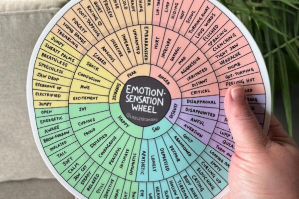 Emotion Sensation Feeling Wheel Printable Feelings Wheel Resources For Adults And Kids LindsayBraman