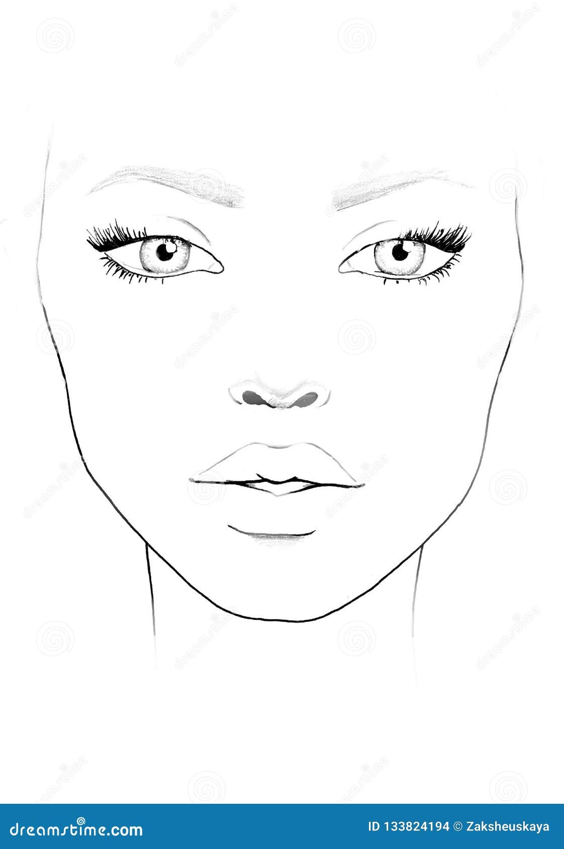 Face Chart Makeup Artist Blank Beautiful Woman Portrait Face Chart Makeup Artist Blank Template Stock Illustration Illustration Of Liner Female 133824194