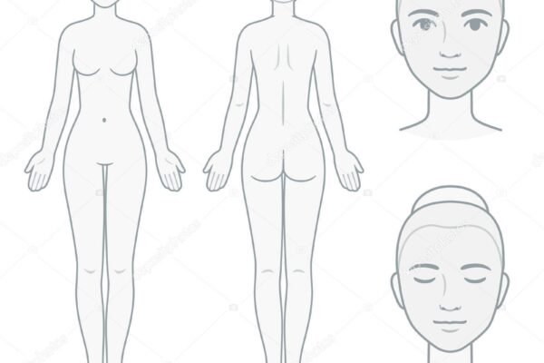 Female Body And Face Chart Stock Vector By Sudowoodo 272868680