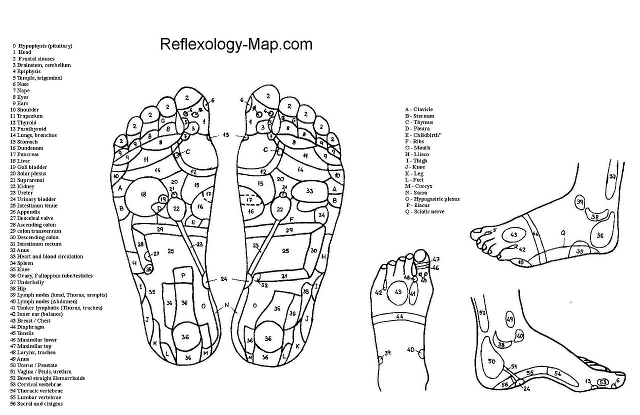Printable Reflexology Foot Chart