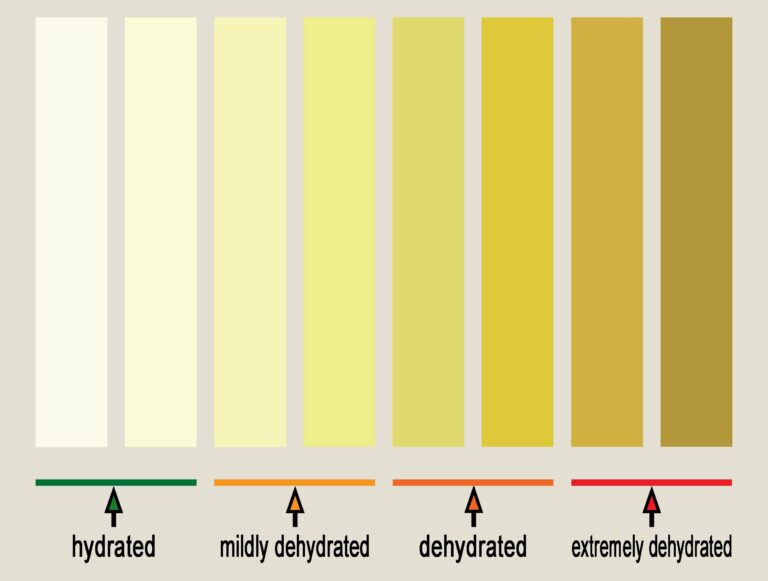 File Urine Hydration Chart jpg Wikimedia Commons