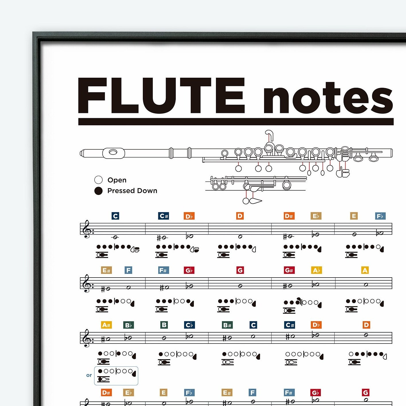Flute Chart Transverse Flute Printable Poster Transverse Flute Notes Poster Learn Flute Flute Theory Poster Brass Instruments Etsy UK