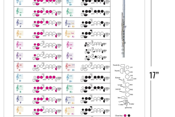 Flute Fingering Chart With Color coded Notes Learn Flute Technique Suitable For All Levels Made In The USA Etsy Canada