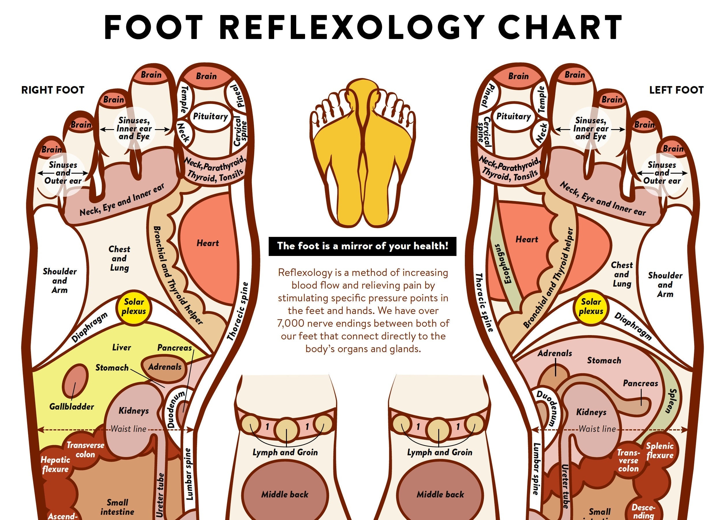 Foot Acupressure And Reflexology Chart PRINTABLE INSTANT DOWNLOAD Massage Technique Labeled Foot Map Information Chart Poster Wall Art Etsy UK