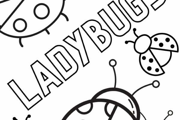 Free Ladybug Coloring Pages For Kids And Adults