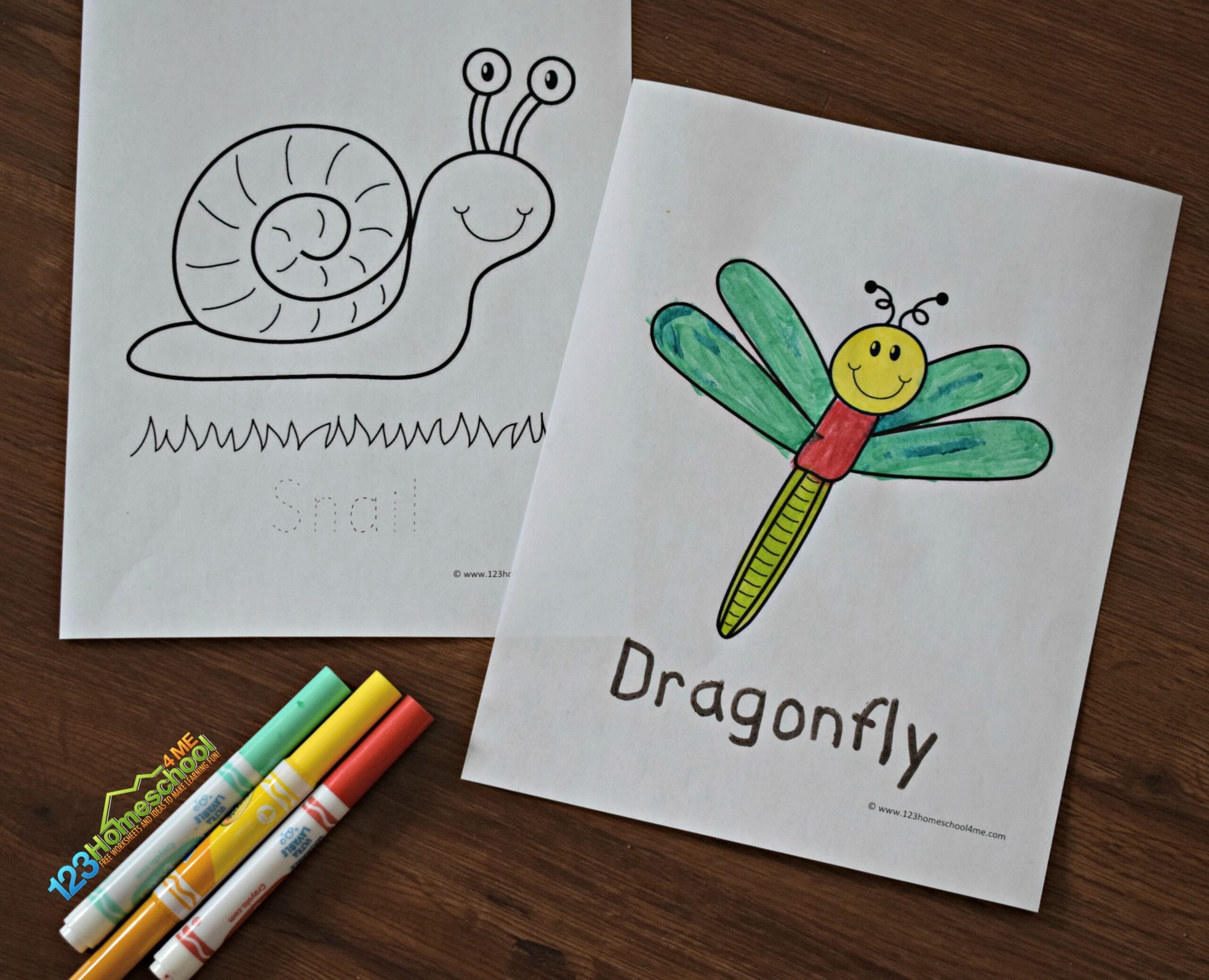 Free Printable Insect Coloring Pages
