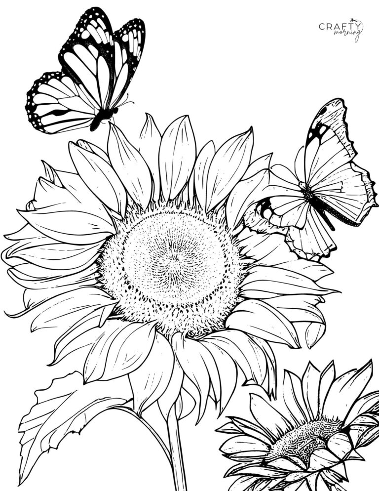 Free Printable Sunflower Coloring Pages Crafty Morning