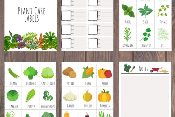 Free Printable Vegetable Labels For Garden Download Free Printable Vegetable Labels For Garden Png Images Free Worksheets On Clipart Library