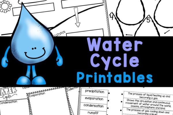 FREE Printable Water Cycle Worksheets For Kids