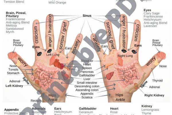 Hand Reflexology Chart PDF Printable Etsy