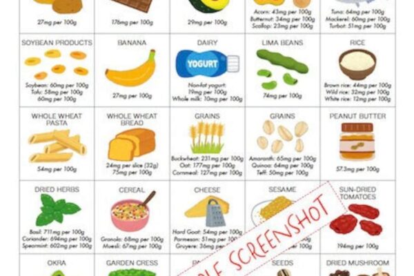 High Magnesium Foods Poster List Guide PRINTABLE DOWNLOADS Patient Education Healthy Food Planner Cheat Sheet For Healthy Eating Etsy