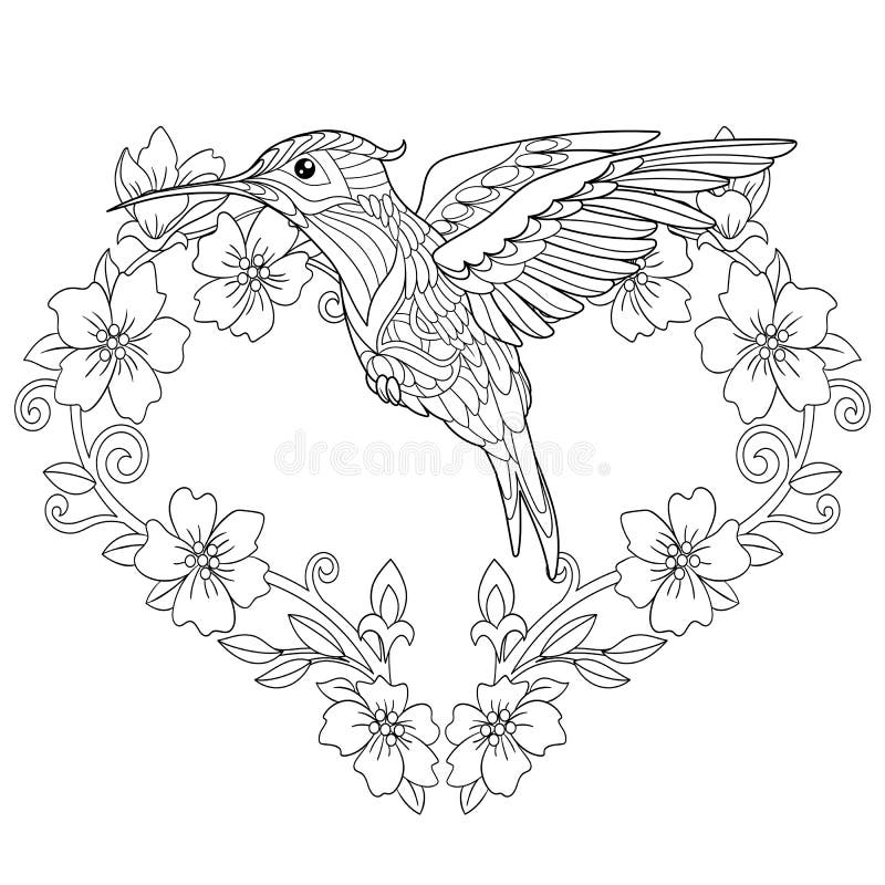 Hummingbird Adult Coloring Page Stock Illustrations 298 