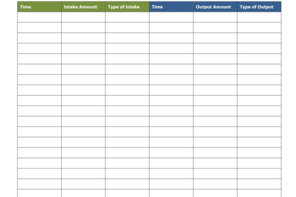 Intake And Output Record