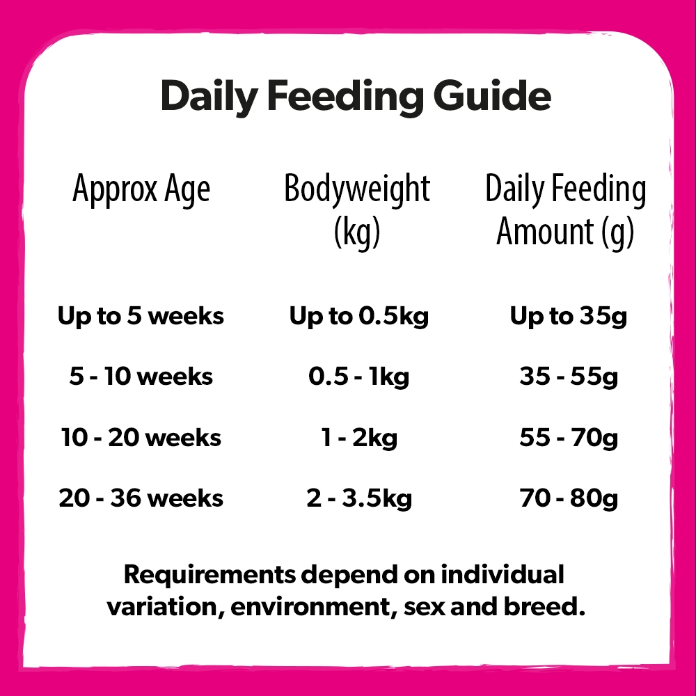 Kitten Age Chart By Shoponline Weeks