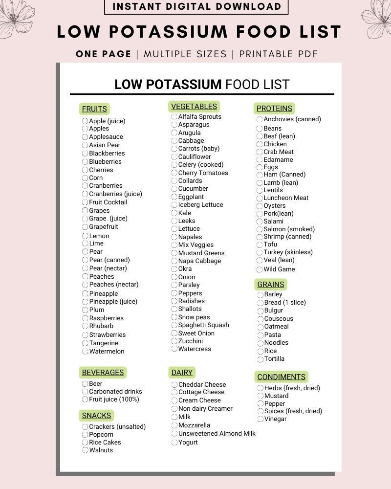 Low Potassium Food List Kidney Disease Renal Diet Chronic Illness Grocery List Shopping List Food Guide List Printable Food Journal Etsy