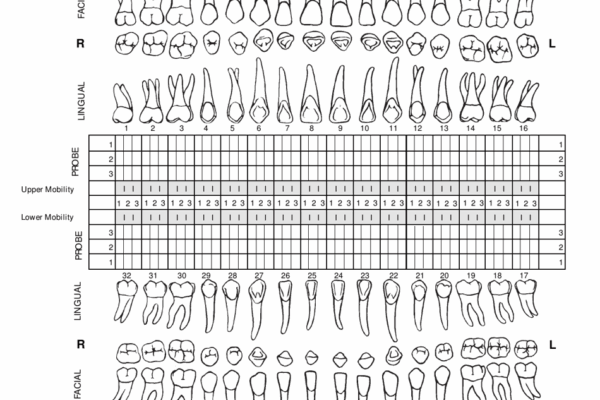 Periodontal Chart Cambridge Dental Consultants Download Printable PDF Templateroller