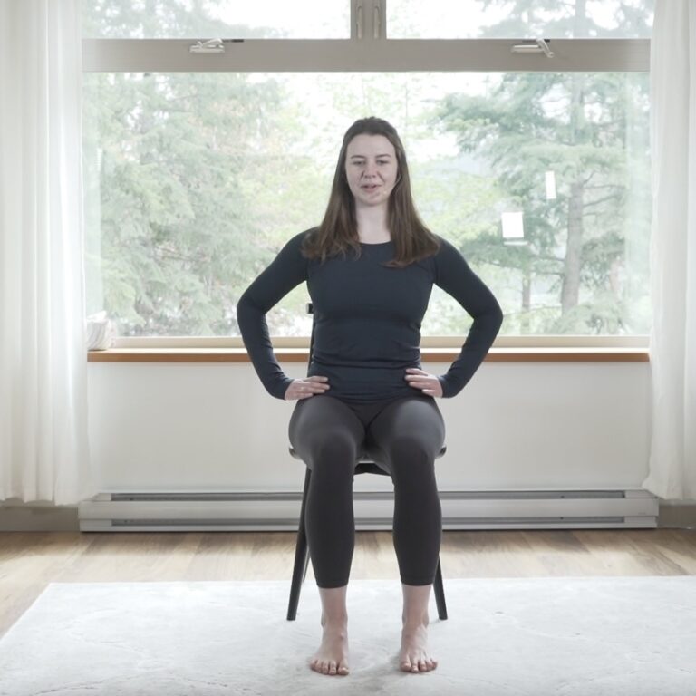 Printable Chair Exercise Routine For Seniors With Pictures 